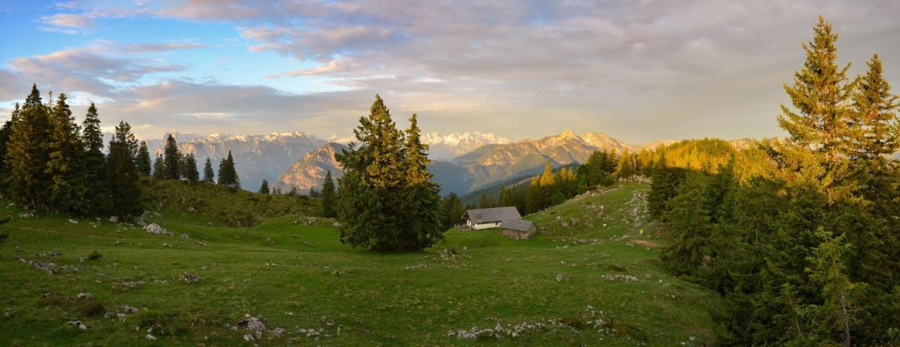 Chalet Harmonie Inzell Exterior photo